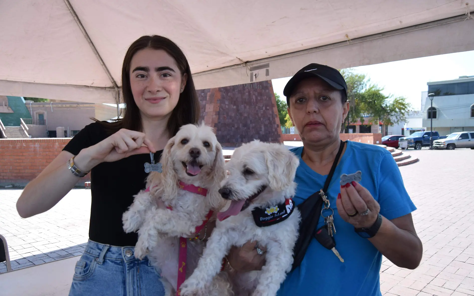 Se une el Gobierno de Nuevo Laredo a la campaña aantirrábica gratuita Gobierno de NLD